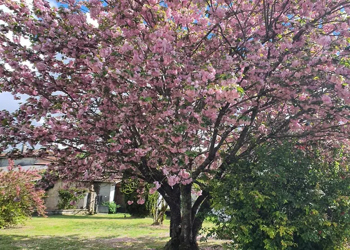 Casa de Férias Maison De Lafenestre