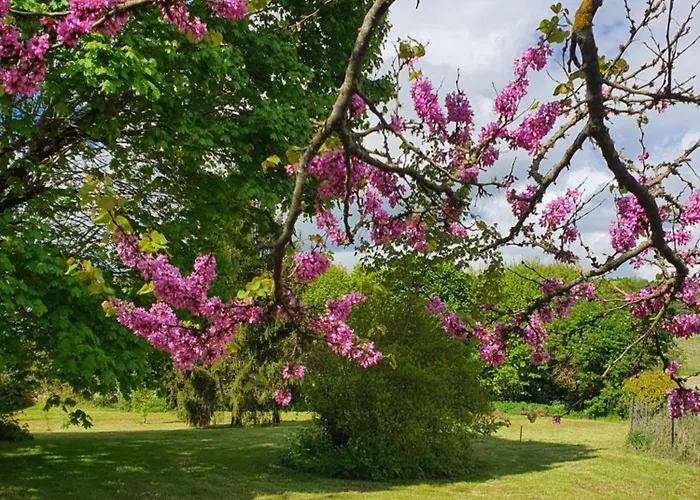 Maison De Lafenestre